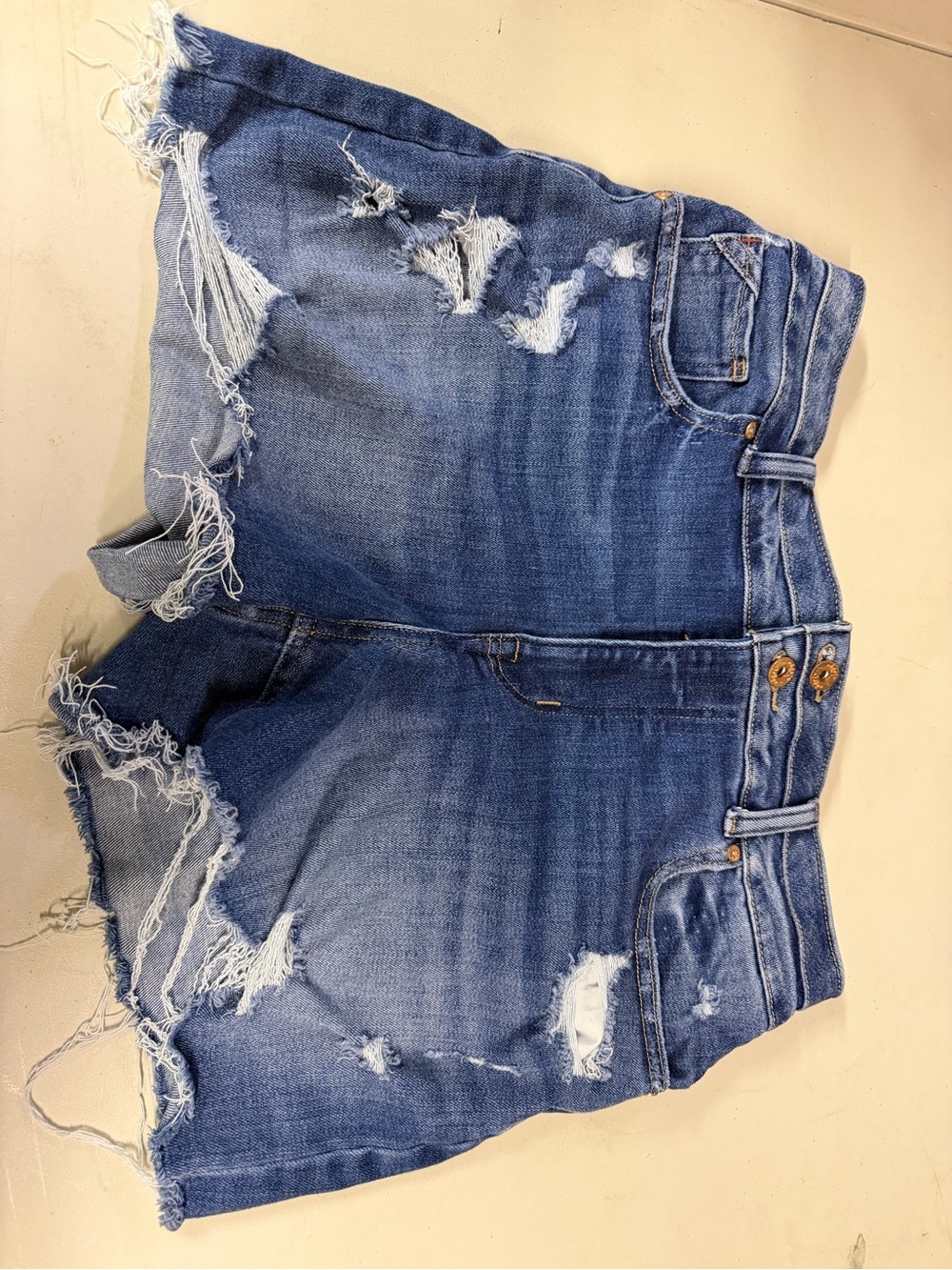 Edgely Maurice’s women’s size 12 Distressed Blue Denim Cutoff Shorts